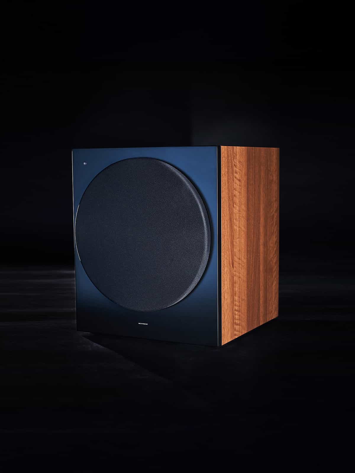 L12 SUB – Active Subwoofer